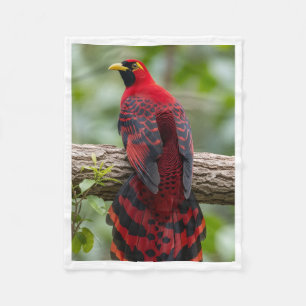 Trillende rode vogel op tak dekentje fleece deken