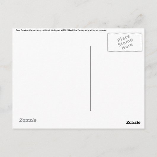 Trilling Briefkaart (Achterkant)