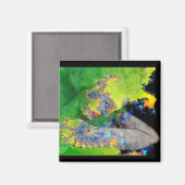 TRILLINGEN VAN MATERIE MAGNEET (Voorkant / Achterkant)