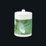 trillium blanc avec verdure<br><div class="desc">trillium blanc avec verdure</div>