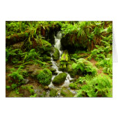 Trillium Falls (Devant horizontal)