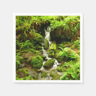 Trillium Falls in Redwood National Park Servet