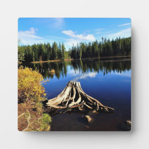Trillium Lake, OR Fotoplaat