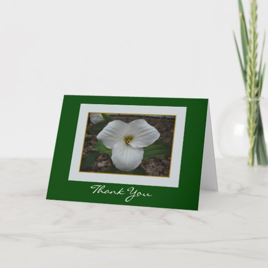 Trillium Merci (Devant)