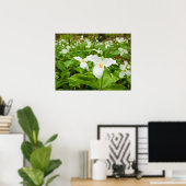 Trillium Wild Flower Poster (Thuiskantoor)