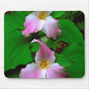 Trillium-wildbloem Muismat