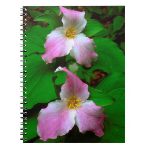 Trillium-wildbloem Notitieboek
