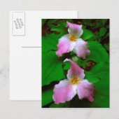 Trillium Wildflower Briefkaart (Voorkant / Achterkant)