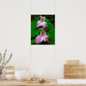 Trillium Wildflower Poster (Keuken)