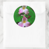 Trillium Wildflower Ronde Sticker (Tas)