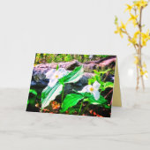 TRILLIUMS BRILLANT CARTE DE SALUT (Fleur jaune)