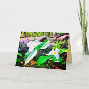 TRILLIUMS BRILLANT CARTE DE SALUT