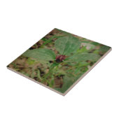 Trilliumventiel Tegeltje (Zijkant)