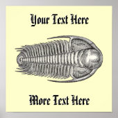 trilobietdruk poster (Voorkant)