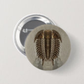 Trilobite-Button Ronde Button 5,7 Cm (Voorkant /achterkant)