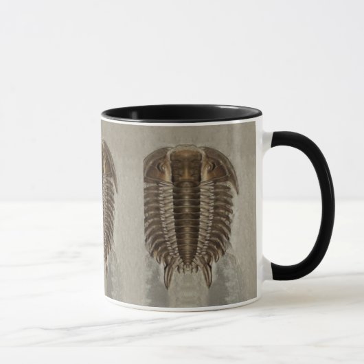 Trilobite Fossil Mok (Rechts)