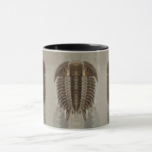 Trilobite Fossil Mok (Midden)