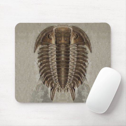 Trilobite Fossil Mousepad Muismat (Met muis)