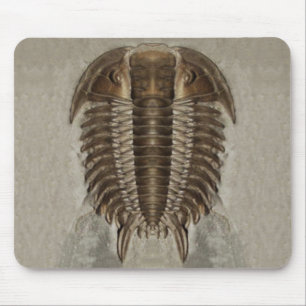 Trilobite Fossil Mousepad Muismat