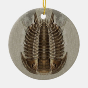 Trilobite Fossil Ornament