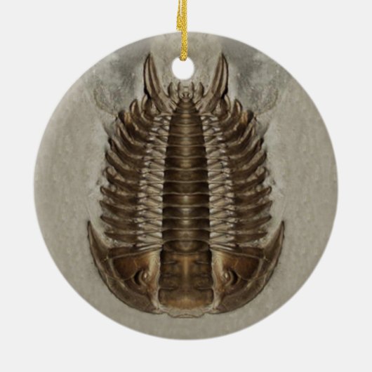 Trilobite Fossil Ornament (Achterkant)