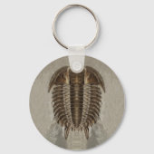 Trilobite Fossil Sleutelhanger (Voorkant)
