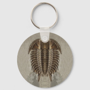 Trilobite Fossil Sleutelhanger