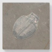 Trilobite Fossil Stenen Onderzetter (Voorkant)