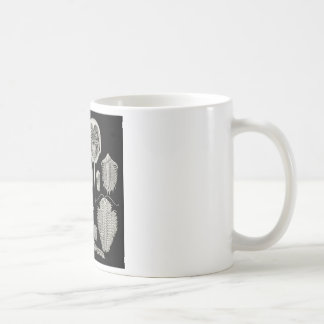 Trilobite! Koffiemok