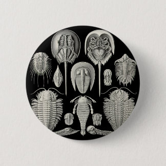 Trilobite! Ronde Button 5,7 Cm