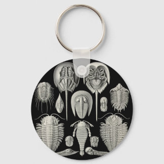 Trilobite! Sleutelhanger