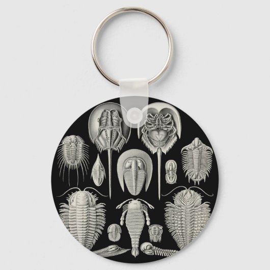 Trilobite! Sleutelhanger (Voorkant)