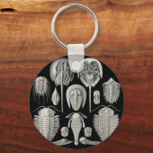 Trilobite! Sleutelhanger (Voorkant)