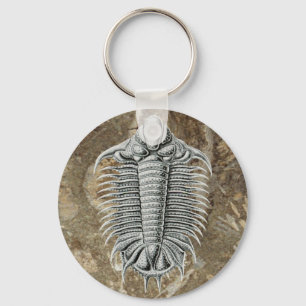 Trilobite-Sleutelhanger Sleutelhanger