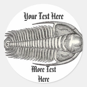 Trilobite Sticker