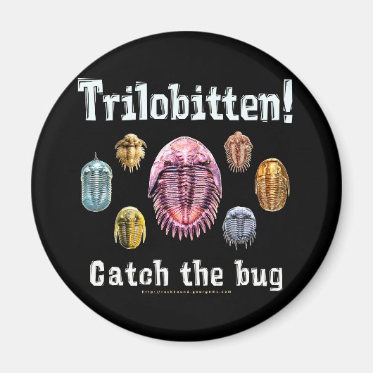 Trilobitten Magneet (Voorkant)