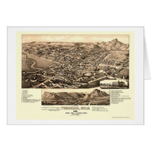 Trinidad, CO Panoramic Map - 1882