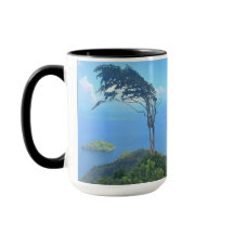 trinidad paramin mug