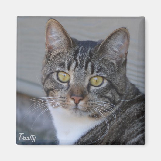 Trinity Magneet (Voorkant)