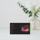 Trio de Cartes de visite Rose (Debout devant)