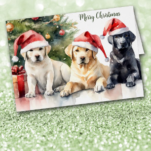 Trio de Labrador Retrievers au chapeau de Père Noë