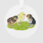 Trio de poussins (dos)