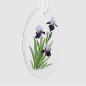 Trio d'Iris (devant)