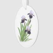 Trio d'Iris (devant)