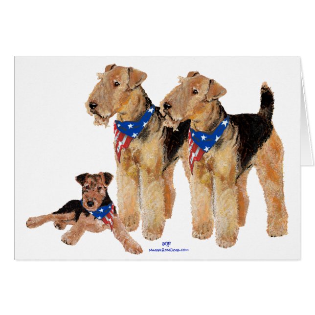 Trio du drapeau patriotique (Devant horizontal)