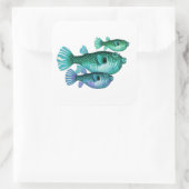 Trio van Blauwe Groene Puffer Vis Vierkante Sticker (Tas)
