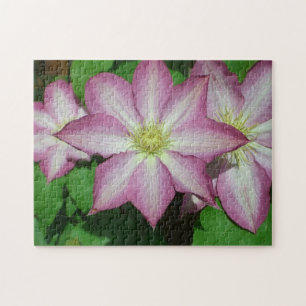 Trio van Clematis Pink en White Spring Vine Legpuzzel