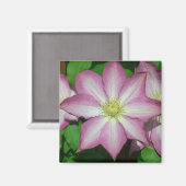 Trio van Clematis Pink en White Spring Vine Magneet (Voorkant / Achterkant)