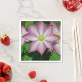 Trio van Clematis Pink en White Spring Vine Servet (Insitu)