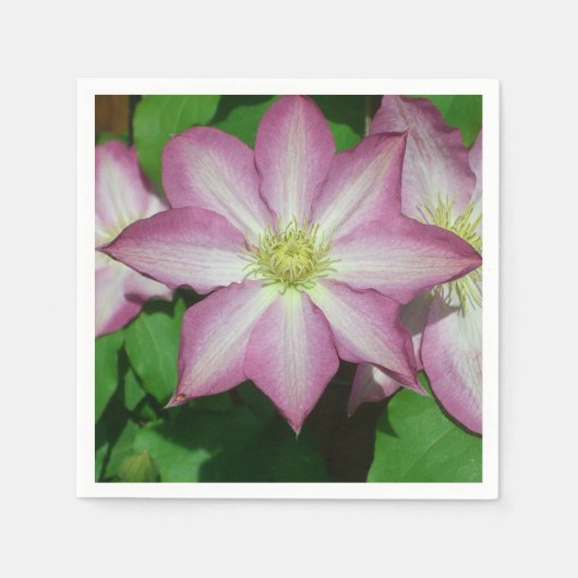 Trio van Clematis Pink en White Spring Vine Servet (Voorkant)
